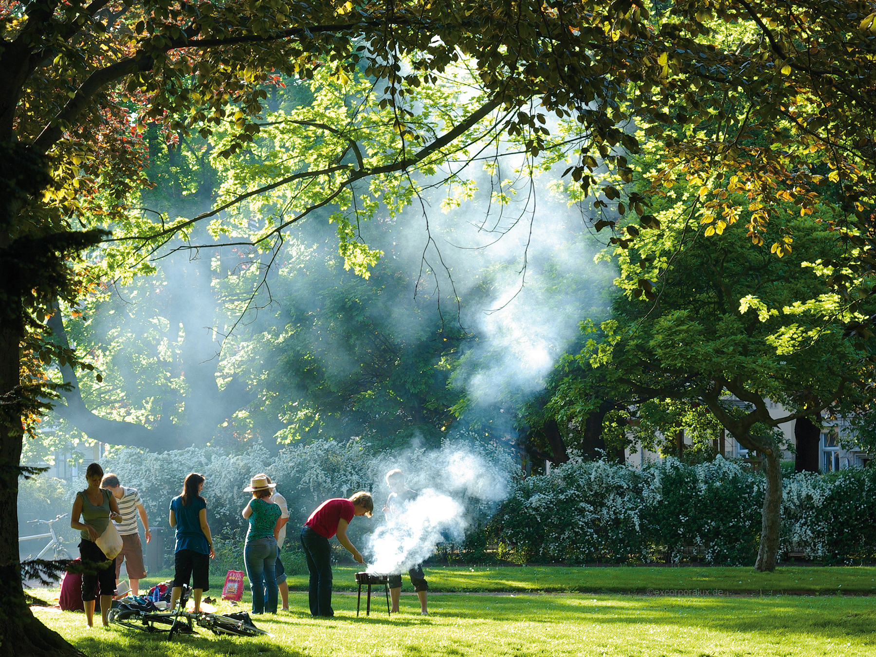 Ein Park mit großen Bäumen. Menschen stehen in der Sonne. Von einem Grill steigt rauch auf.