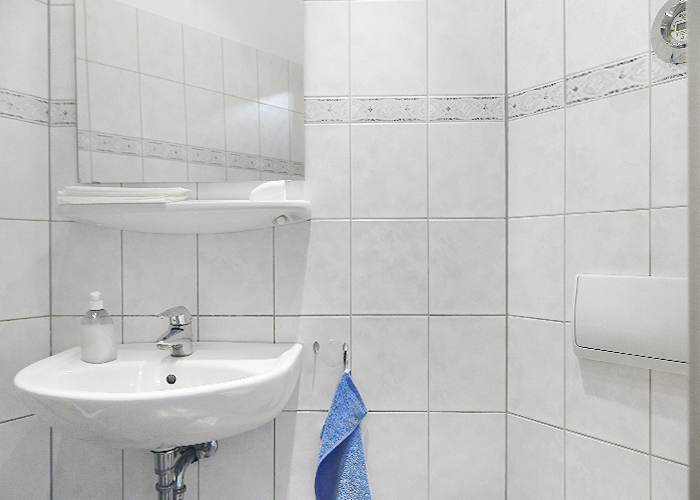 Ein Waschbecken, ein Spiegel und eine Toilettenspülung.