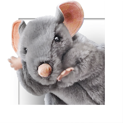 Mi 11. Dezember 2024 | Ratte Ratzi